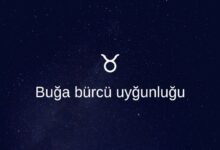 Buga burcunun uygunlugu