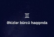 Ekizler Burcu Haqqinda