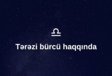 Terezi Burcu Haqqinda