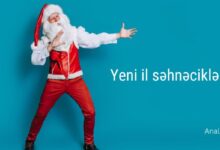 Yeni il sehnecikleri