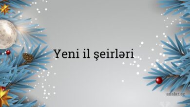 Yeni il seirleri