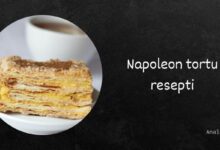 Napalyon tortu