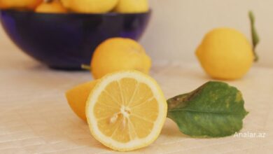 Yuxuda limon gormek