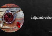 Zogal murebbesi