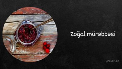 Zogal murebbesi