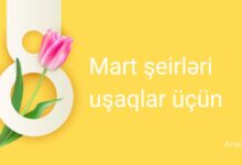 8 mart seirleri usaqlar ucun