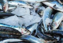 Hamilə qadın yuxuda balıq görmək